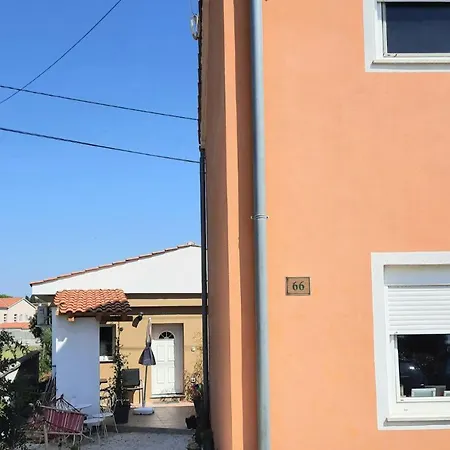 Apartment Olive Istra *