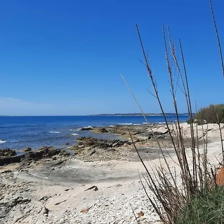 Apartment Olive Istra *