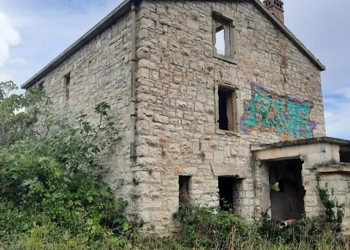 Olive Istra Ližnjan